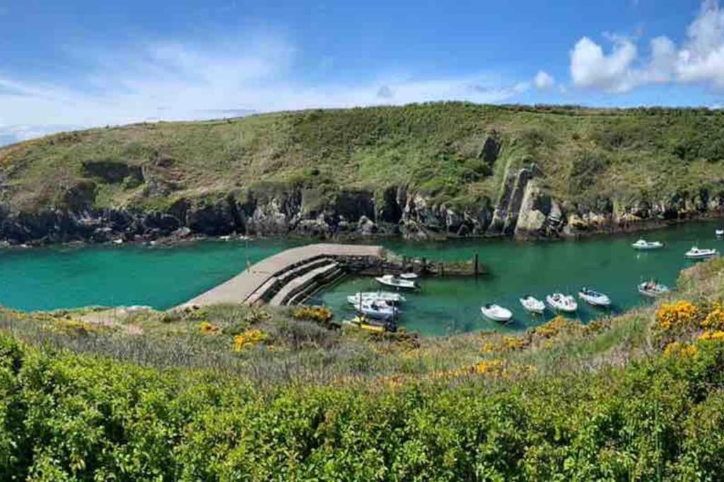 Vila The Old Chapel St Davids Exteriér fotografie